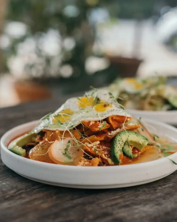 A plated dish with shredded protein, cucumber slices, microgreens and yellow flowers on a wooden table outdoors A plated dish with shredded protein, cucumber slices, microgreens and yellow flowers on a wooden table outdoors