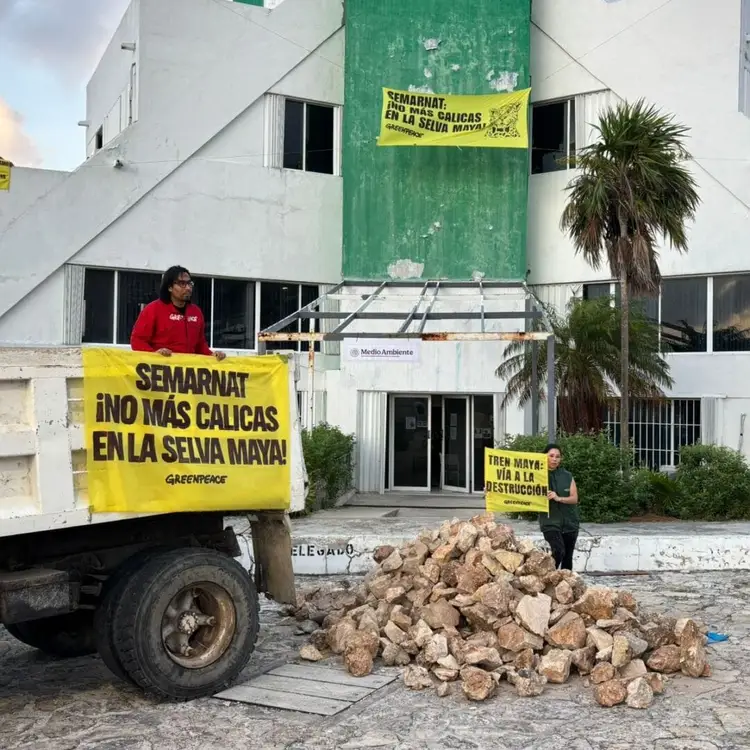 Activists hold yellow protest banners in front of a government building while a pile of rocks sits in the foreground