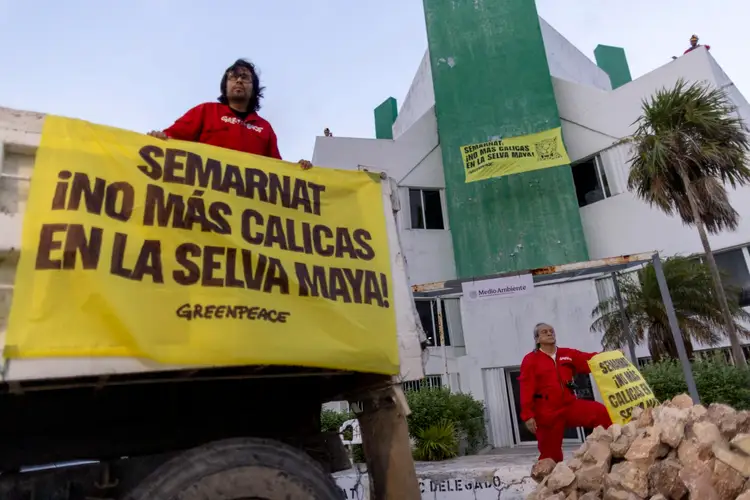 Greenpeace activists hold yellow banners with Spanish text protesting deforestation in front of a government building with palm trees nearby