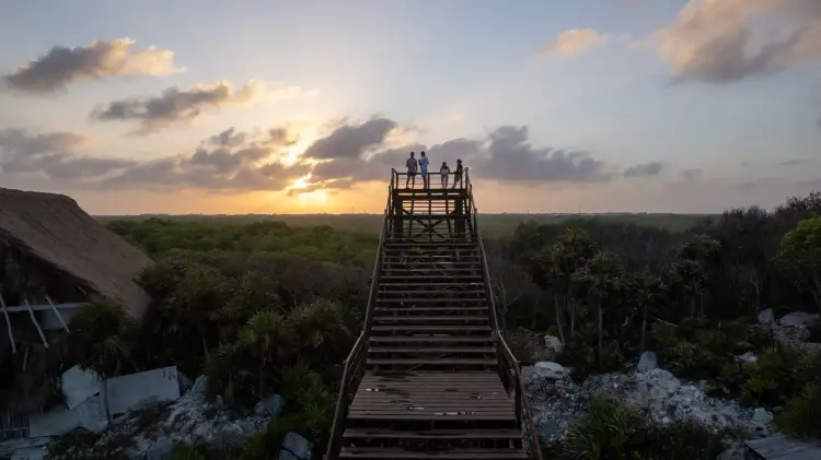 Several people stand atop a wooden observation tower overlooking a forested landscape at sunset