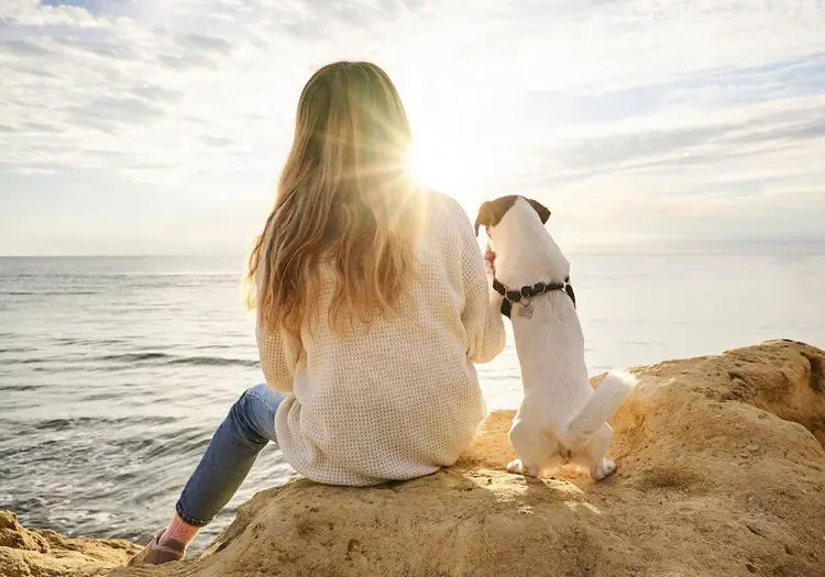 Woman and small white dog sitting together on a rocky beach overlooking the ocean at sunset