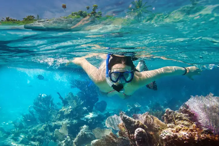 Person snorkeling in turquoise water above a coral reef with a tropical shoreline visible in the background