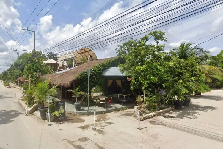 A thatched-roof business with tropical plants stands along a sandy street lined with power lines