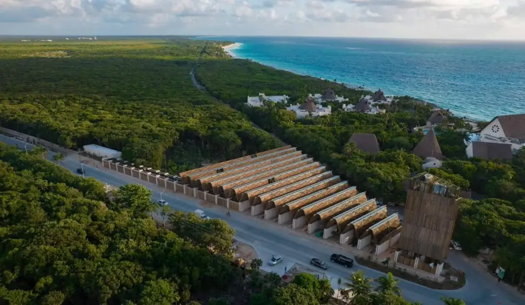 Tourism in Tulum plunges 40 percent due to rising entrance fees
