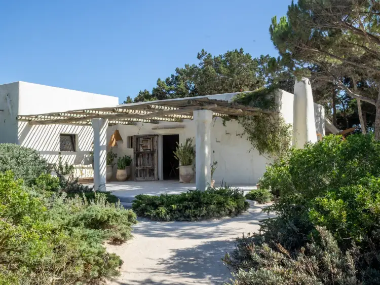 White Mediterranean-style house with wooden pergola and terracotta planters surrounded by Mediterranean vegetation and trees under clear blue sky White Mediterranean-style house with wooden pergola and terracotta planters surrounded by Mediterranean vegetation and trees under clear blue sky