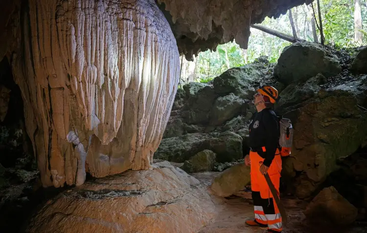 A person wearing a hard hat and orange safety vest stands inside a cave examining large mineral formations hanging from the ceiling A person wearing a hard hat and orange safety vest stands inside a cave examining large mineral formations hanging from the ceiling