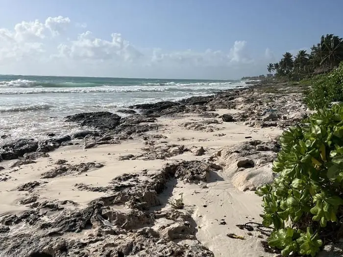 Rocky beach with sand, waves, and palm trees along the shoreline under partly cloudy sky Rocky beach with sand, waves, and palm trees along the shoreline under partly cloudy sky