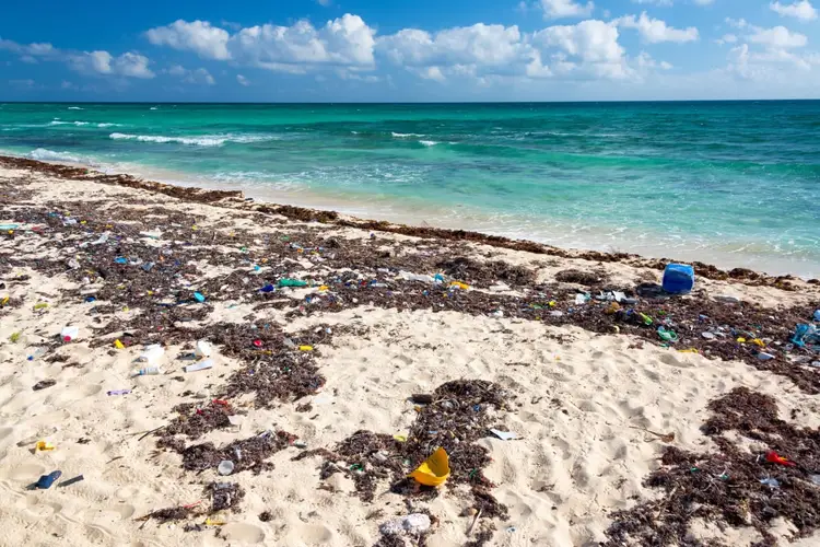 Beach strewn with plastic debris and seaweed along a turquoise ocean under blue sky with white clouds