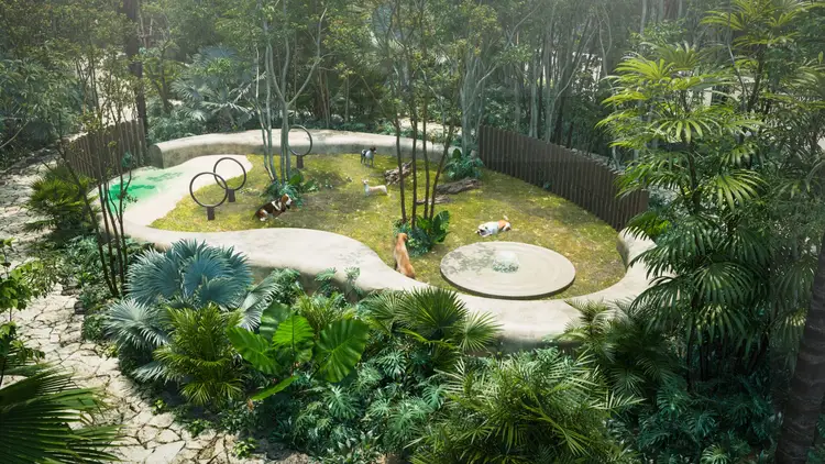 Aerial view of a landscaped residential garden with winding concrete pathways, circular seating areas, tall palms, and exercise equipment surrounded by dense tr