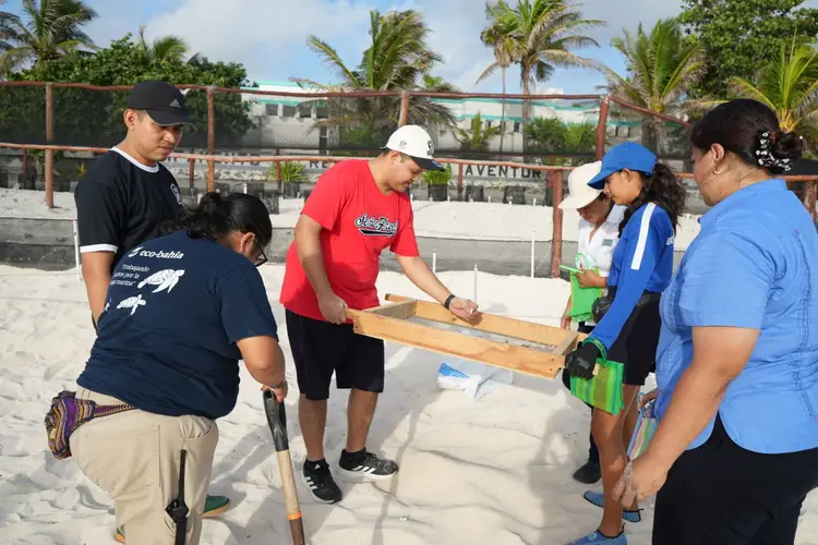 Group of volunteers holding a wooden beam during a beach cleanup project, with palm trees and buildings visible in the background