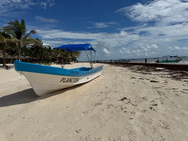 Blue and white fishing boat sits on sandy beach with palm trees and other boats visible in the background under a partly cloudy sky Blue and white fishing boat sits on sandy beach with palm trees and other boats visible in the background under a partly cloudy sky