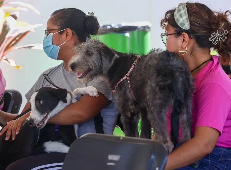 Two women hold two dogs during a rabies vaccination event indoors near a laptop and medical supplies