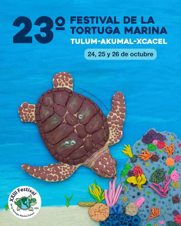 Poster for the 23rd Sea Turtle Festival showing an illustrated sea turtle swimming above colorful coral and seaweed against a blue background Poster for the 23rd Sea Turtle Festival showing an illustrated sea turtle swimming above colorful coral and seaweed against a blue background
