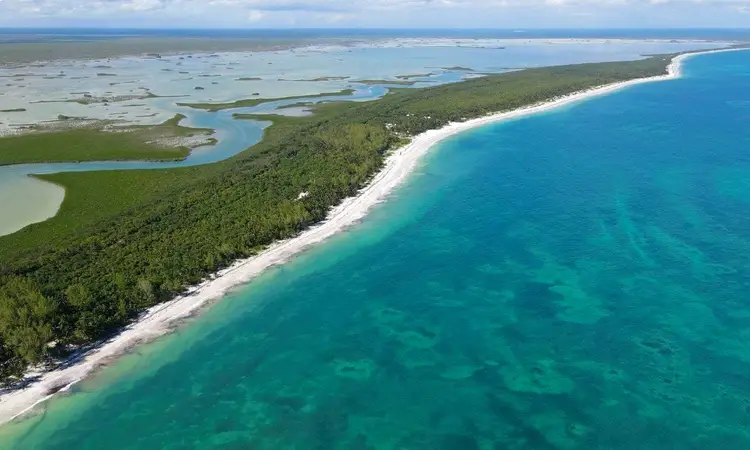 Aerial view of a white sand beach and turquoise water bordering dense green forest and shallow lagoons