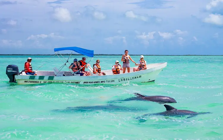 Tourists in a boat with life jackets observe dolphins swimming in shallow turquoise water beneath a blue sky