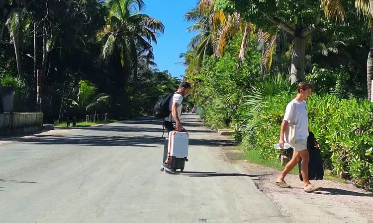 Two people walk along a palm-lined dirt road under clear skies in a tropical setting