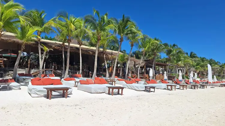 Beach club with red cushioned loungers, wooden tables, and palm trees lining a sandy shore under clear blue sky Beach club with red cushioned loungers, wooden tables, and palm trees lining a sandy shore under clear blue sky