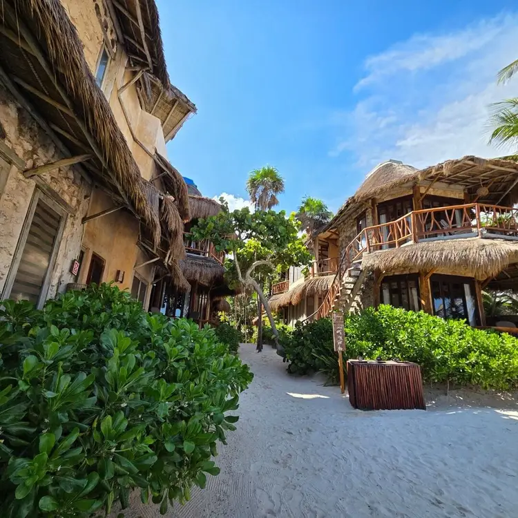 A sandy pathway lined with thatched-roof beachfront structures and tropical vegetation under blue sky A sandy pathway lined with thatched-roof beachfront structures and tropical vegetation under blue sky