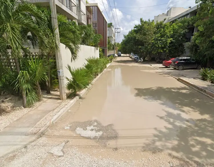 Flooded street lined with palm trees and residential buildings in a tropical neighborhood Flooded street lined with palm trees and residential buildings in a tropical neighborhood