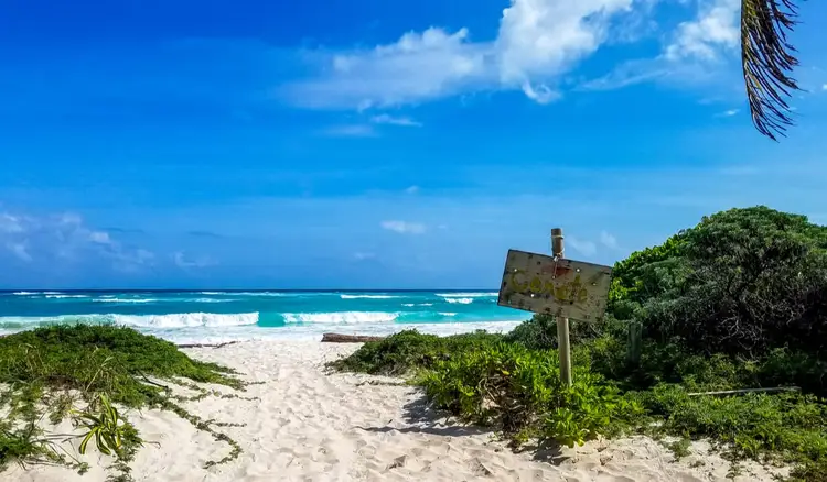 Weathered wooden sign on sandy beach with ocean waves and tropical vegetation under blue sky Weathered wooden sign on sandy beach with ocean waves and tropical vegetation under blue sky