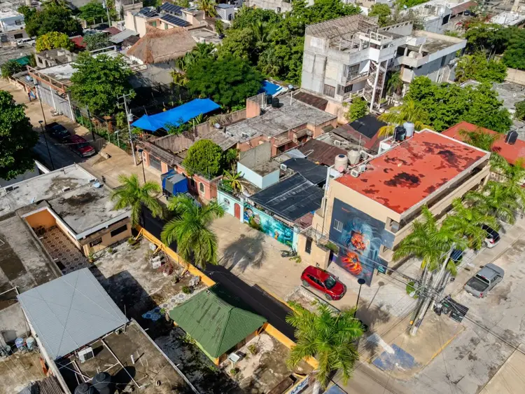 Aerial view of a residential neighborhood with colorful murals and blue tarps on rooftops, palm trees scattered throughout, and a red vehicle parked on a street