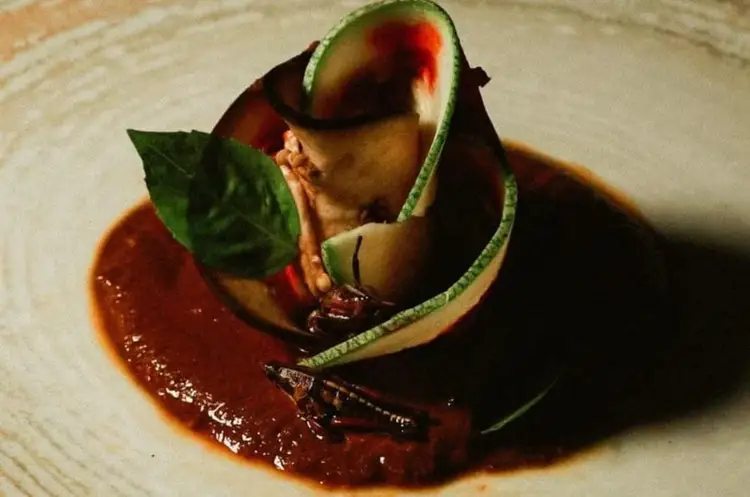 A plated dish with a green pea pod shell filled with ingredients, garnished with a mint leaf and accompanied by a dark sauce on a white plate A plated dish with a green pea pod shell filled with ingredients, garnished with a mint leaf and accompanied by a dark sauce on a white plate