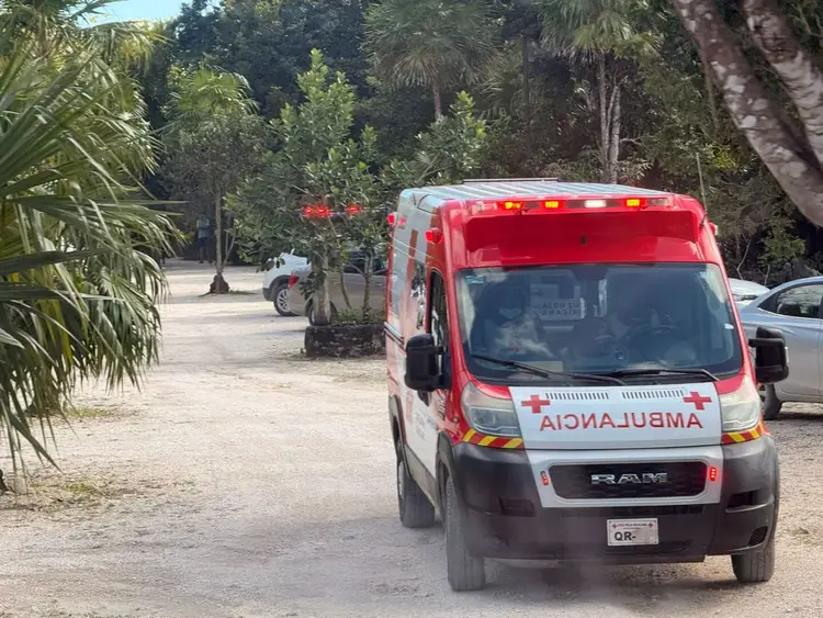 An ambulance parked on a dirt road surrounded by palm trees and tropical vegetation An ambulance parked on a dirt road surrounded by palm trees and tropical vegetation