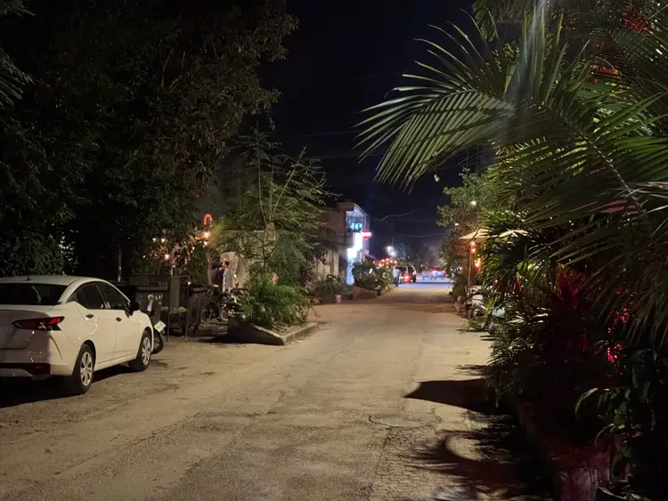 A narrow residential street at night with a white car parked on the left, tropical plants lining both sides, and illuminated buildings visible in the distance