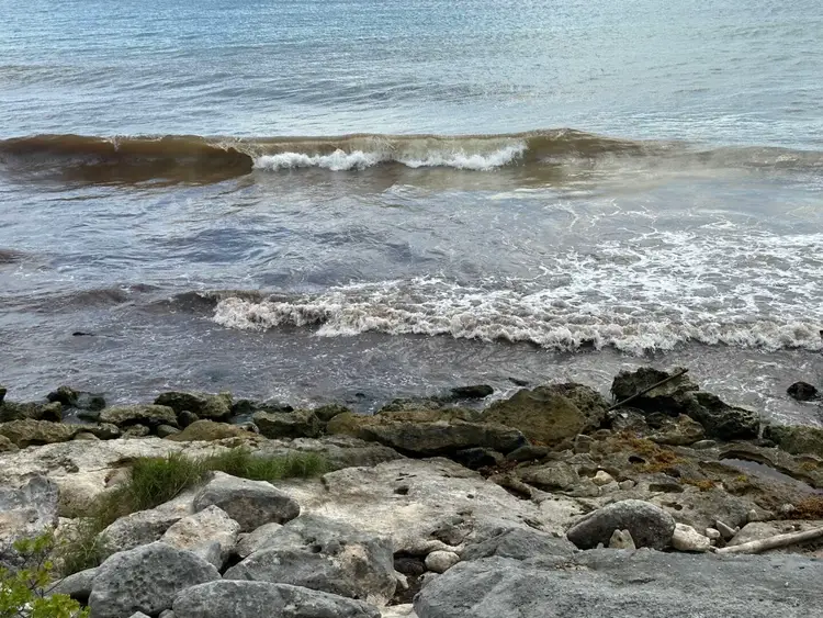 Rocky shoreline with waves rolling onto a sandy beach dotted with seaweed and algae in the water