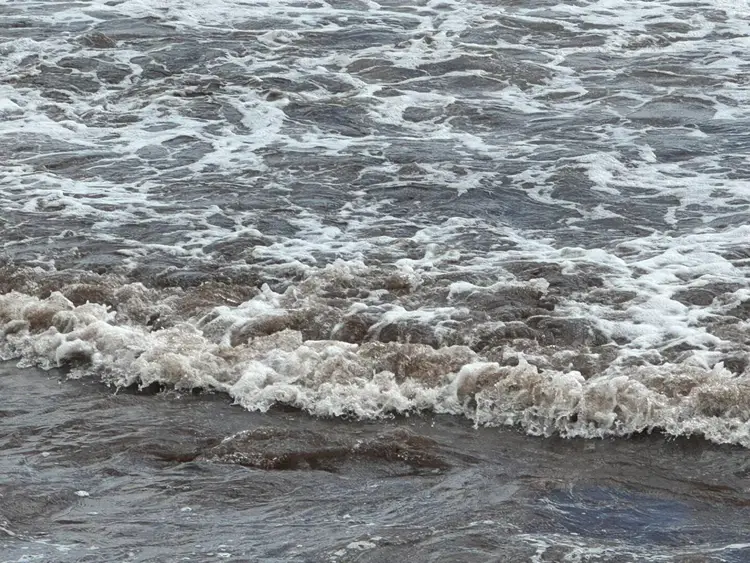Waves with white foam roll onto a beach shore covered with brown seaweed