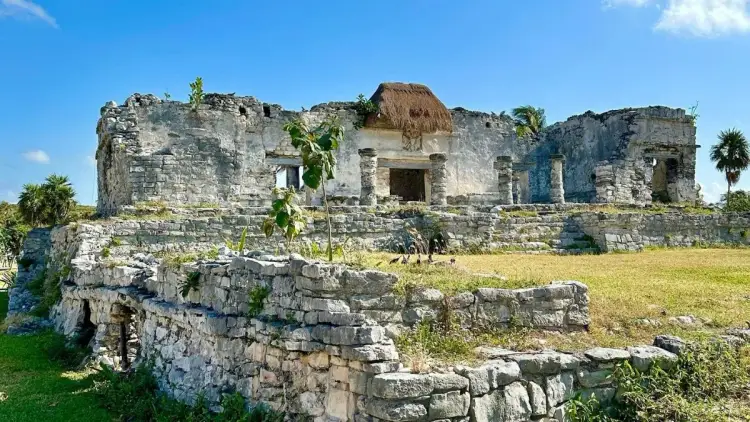 Ruined stone structure with empty window and doorway openings sits on elevated platform in grassy field with tropical vegetation