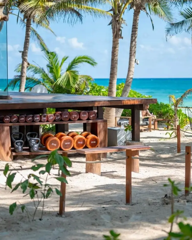Outdoor fitness equipment including dumbbells and kettlebells arranged on wooden shelves on a beach with palm trees and turquoise water in the background 590543137_18544731730004717_2212235554358473177_n