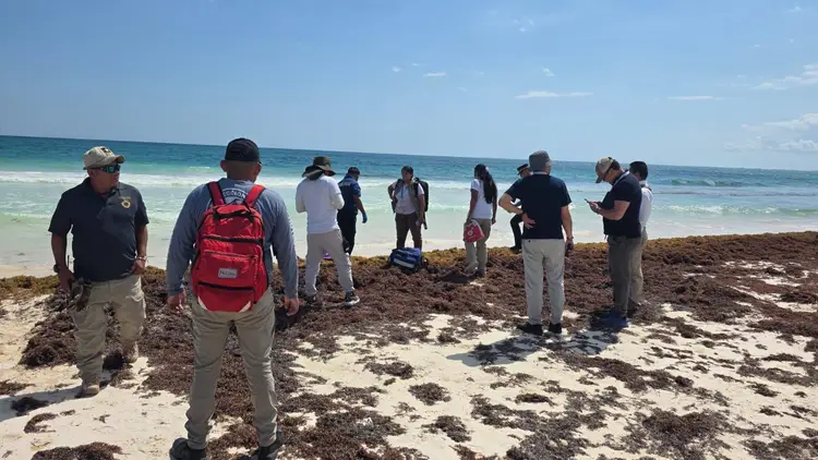 Group of people gathered on a beach covered with seaweed, facing the ocean under clear sky 634171512_122262127730134423_3914314990464505684_n