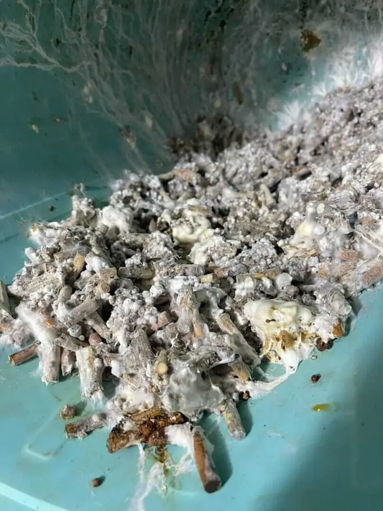 Pile of ash and cigarette butts in turquoise water from above