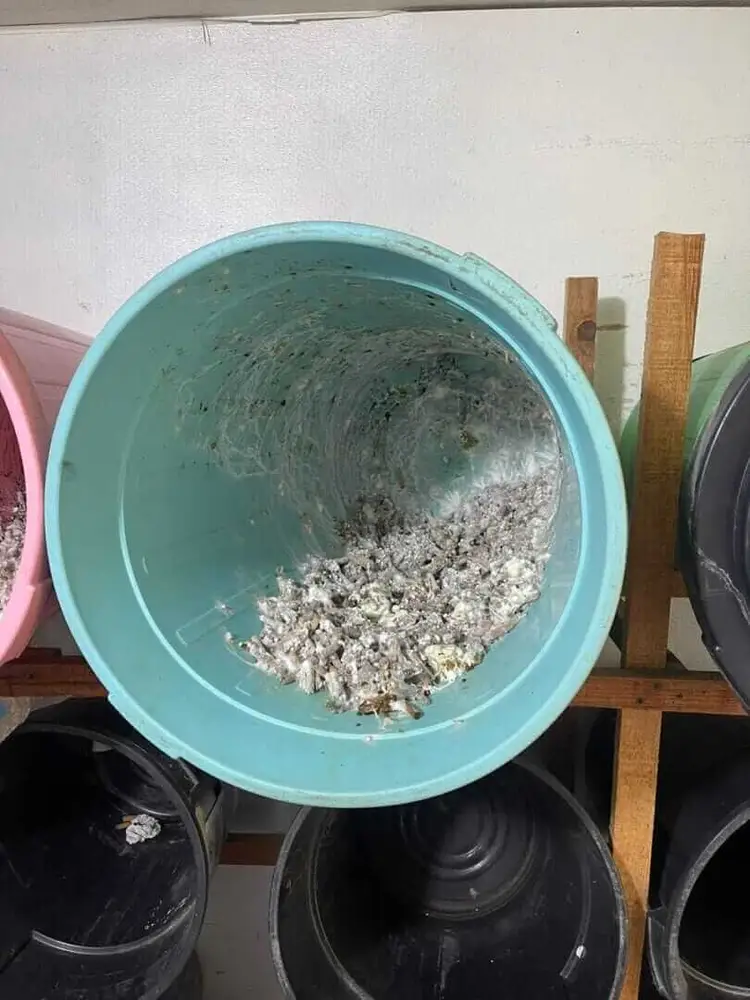 Turquoise bucket containing ash and cigarette butts sits on wooden supports above black containers against a white wall