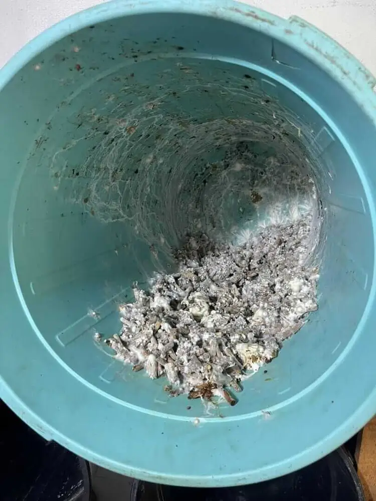 Wet gray powder and debris sit in the bottom of a light blue bucket with swirl marks from mixing visible on the interior walls