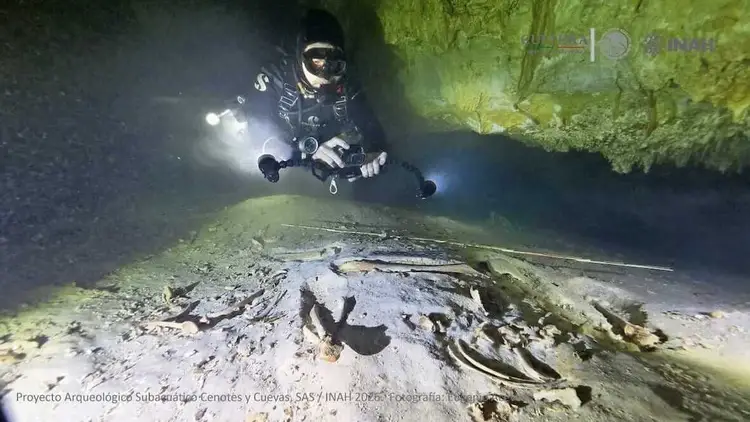 Scuba diver with lights exploring underwater cave passage above skeletal remains on sandy bottom CX2JQVSGEJH5LNHRRFYW5PEITA