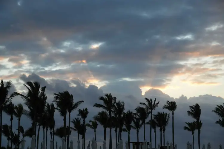 Palm trees silhouetted against a dramatic cloudy sky at dusk with golden light breaking through the clouds Palm trees silhouetted against a dramatic cloudy sky at dusk with golden light breaking through the clouds