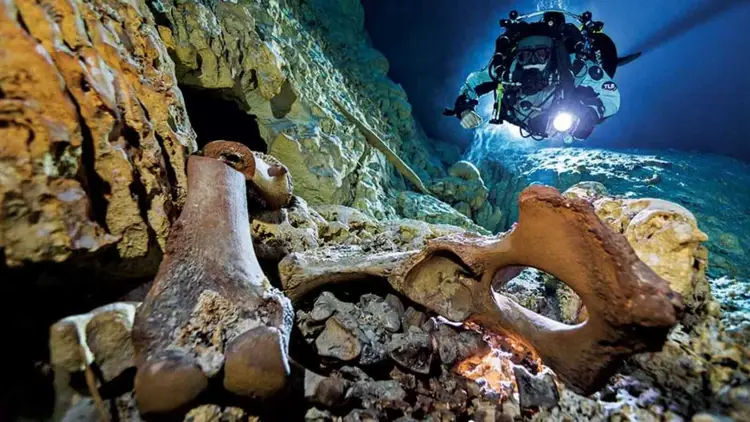 A scuba diver with a headlamp explores an underwater cave past scattered bones and skull fragments on the sandy bottom image-59-1