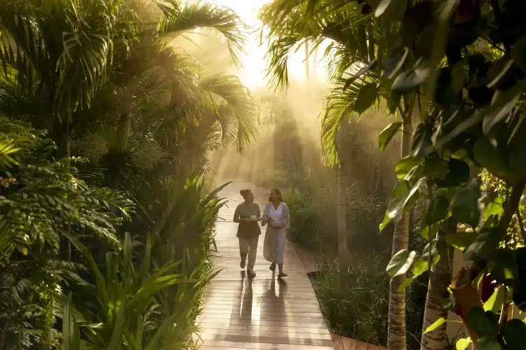 Two people walk along a wooden boardwalk through dense tropical vegetation with palm trees and mist-filled sunlight CONRAD_TULUM_SPA_00142-min