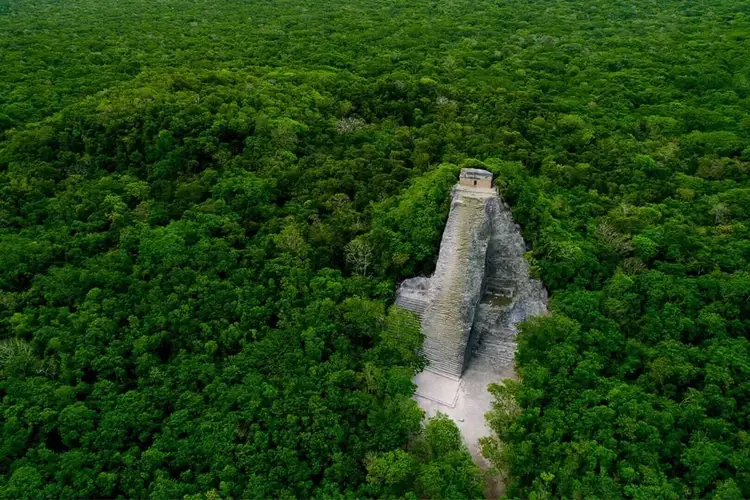 Ancient stone pyramid structure surrounded by dense green forest canopy, viewed from above