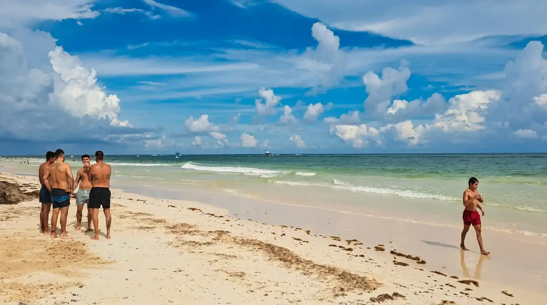 Beachgoers wade and stand in shallow water and sand along a coastline with seaweed scattered on the beach and gentle waves breaking offshore