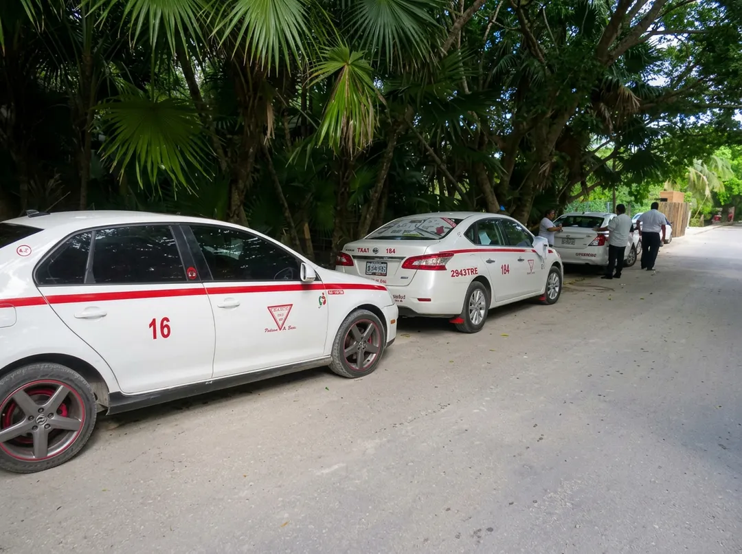 Overcharging of tourists in Tulum could undo the town's fragile recovery White and red taxis parked in a line on a shaded street lined with palm trees
