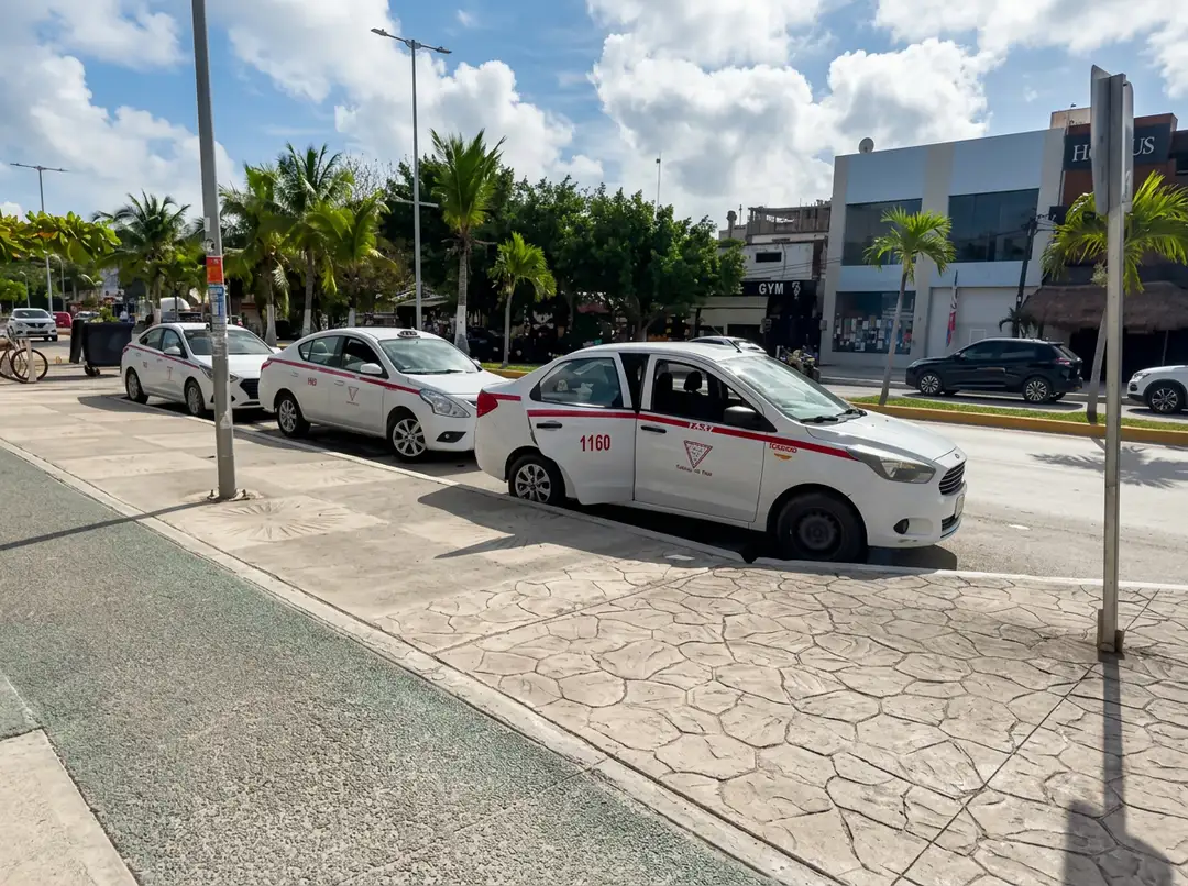 Tulum Taxi Fares Face New Regulation Under State and Federal Mobility Plan White taxi cabs parked in a row on a paved street lined with palm trees and commercial buildings