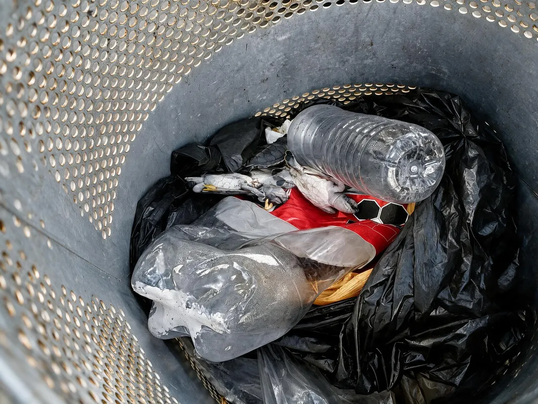 Bote de basura gris lleno de bolsas negras de plástico, una botella de agua, lentes de sol rojos y otros desechos