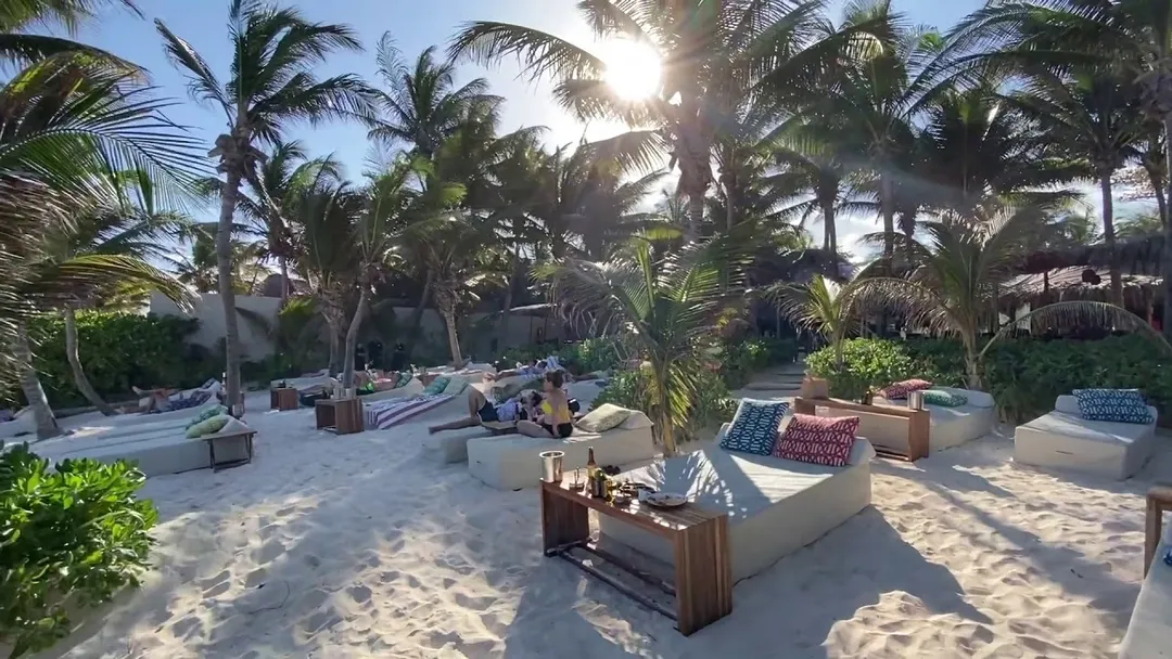 Tulum tourism rebound above 80% fails to stop closures Beach lounge area with cushioned seating, palm trees, and thatched-roof structures on sandy ground under bright sunlight