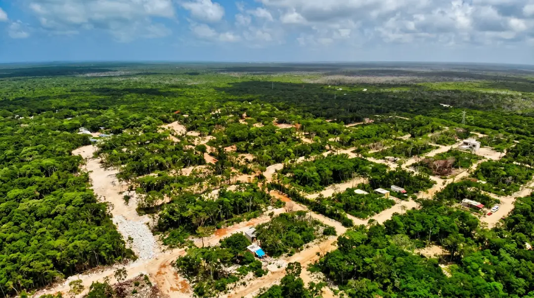 Sedetus pinned two Tulum developments to a map and told buyers to walk away Aerial view of a cleared settlement with tan-colored buildings and cleared land parcels cut through dense green forest, with a winding river alongside