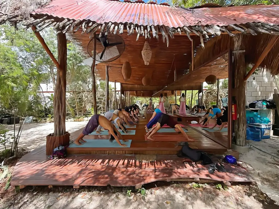 From Azulik's dome to the Municipal Palace, Tulum Yoga Music Fest ends year one Group of people practicing yoga on mats inside a wooden pavilion with corrugated metal roof in an outdoor tropical setting