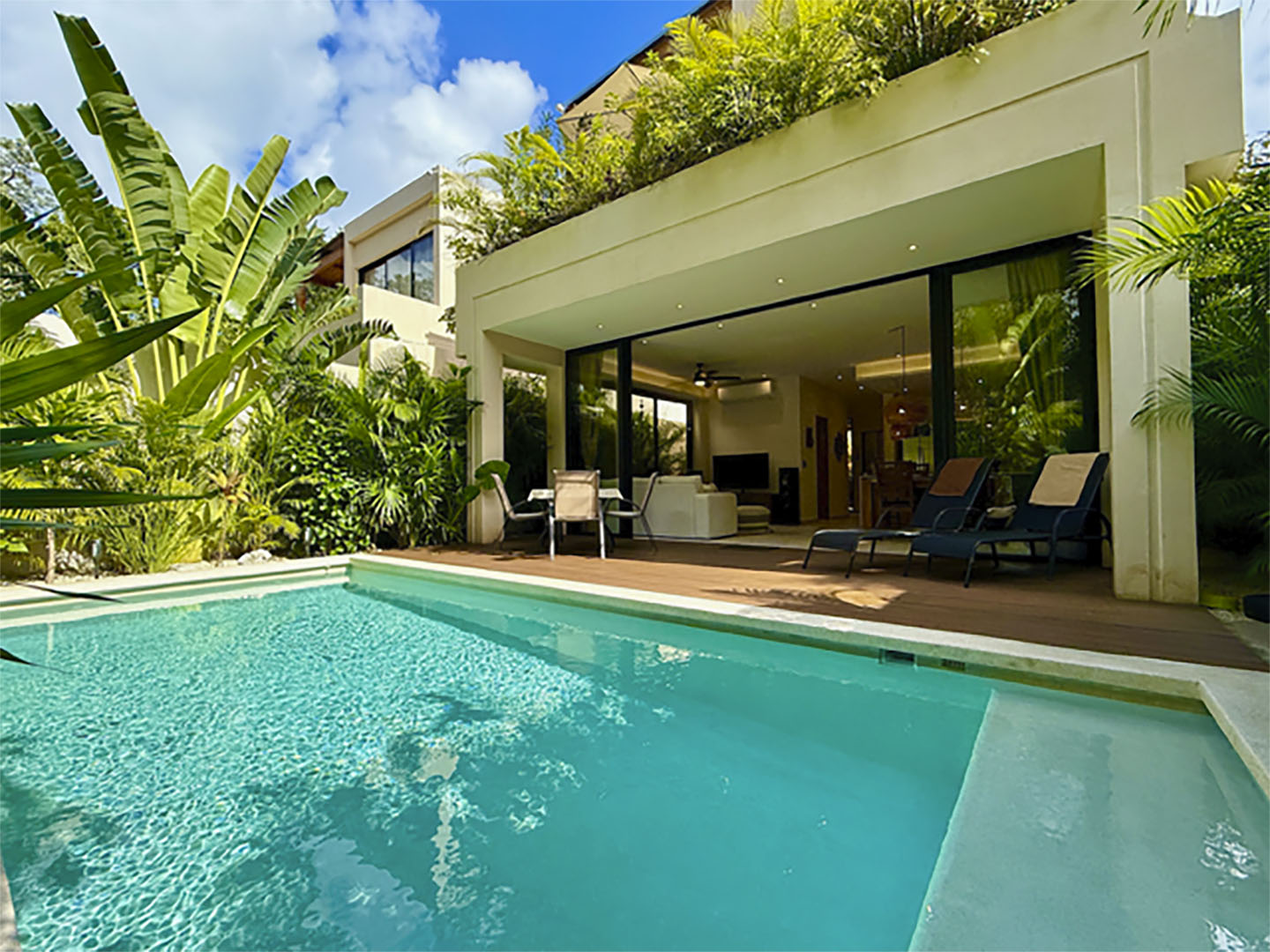Breaking News from Tulum Mexico - Tulum Times