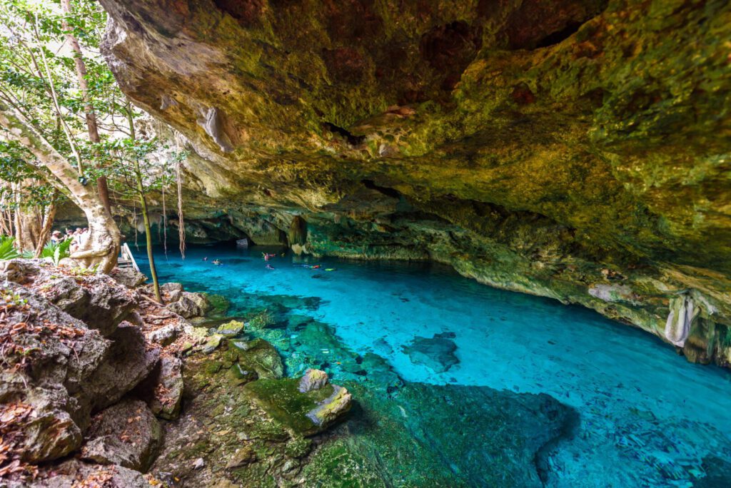 4 cenotes of Tulum, to experience its oasis in the middle of the jungle
